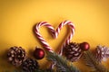 Christmas lolipop and branch Royalty Free Stock Photo