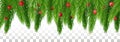 Christmas long garland. evergreen garland of Xmas tree, berries