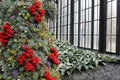 Christmas at Longwood Gardens