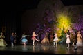 Christmas magic-fantasy ballet