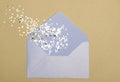 Christmas magic pollen from a white envelope Royalty Free Stock Photo
