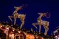 Christmas Magic Reindeers and flickering lights at Christmas fair