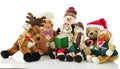 Christmas Managerie Royalty Free Stock Photo