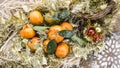 Christmas mandarines with snowflake Royalty Free Stock Photo