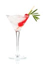 Christmas martiny cocktail Royalty Free Stock Photo