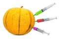 Christmas melon with a syringes full of chemicals. Genetic Food Modification, concept. 3D rendering