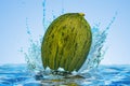 Christmas Melon with water splashes, 3D rendering