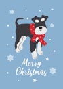 Christmas Miniature Schnauzer in hand drawn style. Greeting text Merry Christmas. Beautiful illustration for greeting cards,