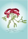Christmas mistletoe Royalty Free Stock Photo