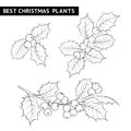 Christmas mistletoe branch drawing.