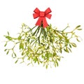 Christmas Mistletoe