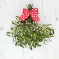 Christmas Mistletoe Decoration