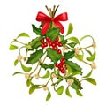 Christmas Mistletoe and Holly bouquet Royalty Free Stock Photo