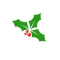 Christmas mistletoe icon