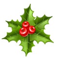 Christmas mistletoe icon