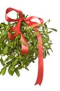 Christmas mistletoe with a red bow