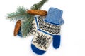 Christmas mittens and branch of a pine, on the isolated white background