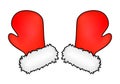 Christmas mittens, cartoon gloves design, icon, symbol.