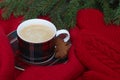 Christmas mood. Cup of coffee, red mittens, warm scarf and fir branch.