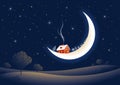 Christmas moonlit night Royalty Free Stock Photo