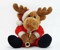 Christmas Moose Royalty Free Stock Photo