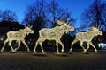 Christmas moose floc made of led light Royalty Free Stock Photo