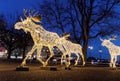 Christmas moose floc made of led light Royalty Free Stock Photo