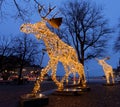 Christmas moose herd made of led light