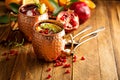 Christmas Moscow mule with pomegranate and orange Royalty Free Stock Photo
