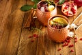 Christmas Moscow mule with pomegranate and orange Royalty Free Stock Photo