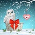 Christmas motive, cute white owl sitting on old basket with big red ribbon, illustration