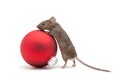 Christmas mouse and bauble isolated Royalty Free Stock Photo