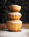 Christmas muffins covered powdered sugar Royalty Free Stock Photo