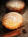 Christmas muffins covered powdered sugar Royalty Free Stock Photo