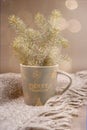 Christmas mug with fir branches on knitted plaid with fringe. Cozy hugge atmosphere in warm grey color with bokeh.