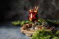 Christmas mulled red wine with spices, cranberry and fruits. Traditional Christmas hot drink. Christmas drink background Royalty Free Stock Photo