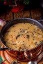 Christmas mushroom Walnut Soup Royalty Free Stock Photo