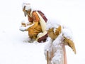 Christmas nativity scene, angel with lamb in the snow Royalty Free Stock Photo