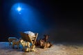 Christmas Nativity Scene of baby Jesus in the manger surrounded by the animals Royalty Free Stock Photo