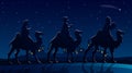 Christmas Nativity Scene - Three Wise Men in the night Royalty Free Stock Photo