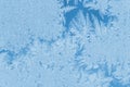 Christmas natural background in trendy color 2020 Classic Blue. Winter frosty pattern bizarre form on window glass.