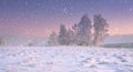 Christmas nature. Calm winter landscape in snowfall. Snowflakes fall on snowy meadow with frosty tree at dawn.