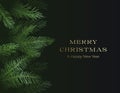 Christmas and New Year Abstract Vector Greeting Card or Poster. Deep Shadow Background with Fading Fir-needle Spruce or