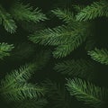 Christmas and New Year Abstract Vector Greeting Card or Poster Template Deep Shadow Background with Fir-needle Spruce or