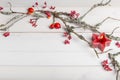 Christmas, New Year or Autumn background, flat lay composition of Christmas natural ornaments and fir branches, berries Royalty Free Stock Photo