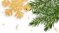 Christmas and New Year background with shining gold snowflake, branches of fir tree and gold serpentine