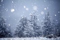 Trees covered with hoarfrost and snow in winter mountains - Chri Royalty Free Stock Photo