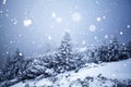 Trees covered with hoarfrost and snow in winter mountains - Chri Royalty Free Stock Photo