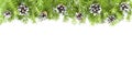 Christmas and New Year Border. Sprigs of spruce decorated with pine cones isolated on a white background. Copy space Royalty Free Stock Photo