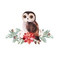 Lovely winter bouquet with leaves,branches,berries,holly,poinsettia and cute little owl